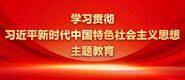 新疆老肥屄学习贯彻习近平新时代中国特色社会主义思想主题教育_fororder_ad-371X160(2)